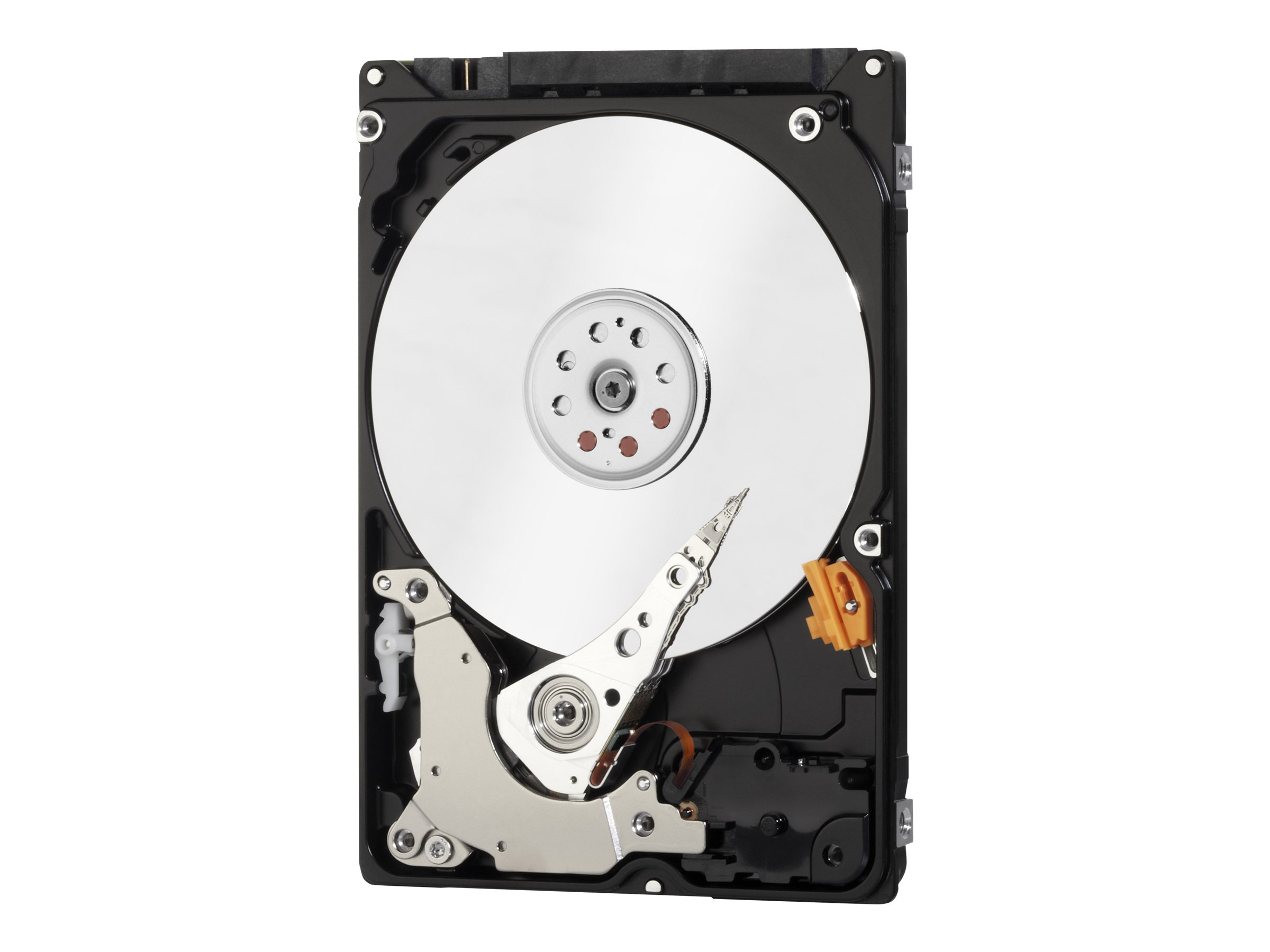 CCS Product Image (Right-angle/2400 x 1800)