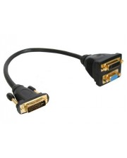 ITS - its-771946001.jpg