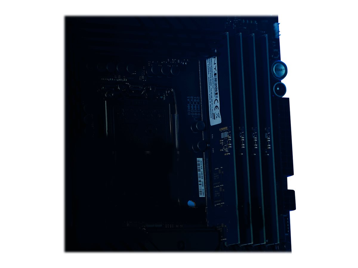 CCS Product Image (Left-angle/1200 x 900)