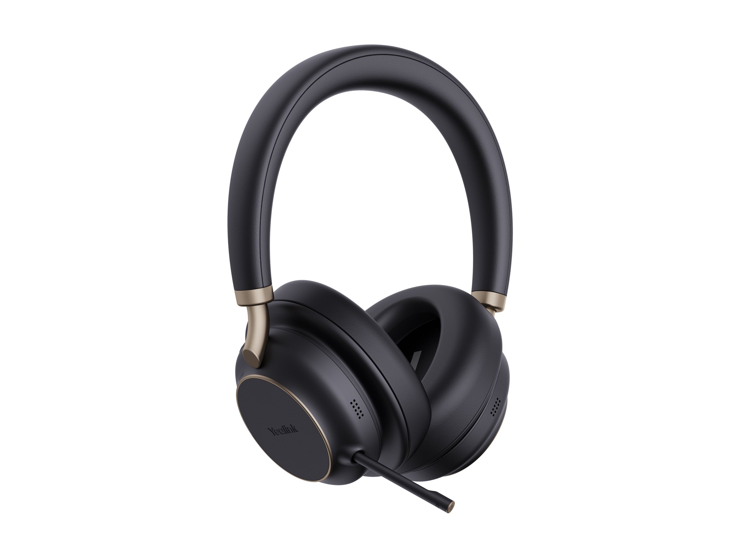 CCS Product Image (Left-angle/2400 x 1800)