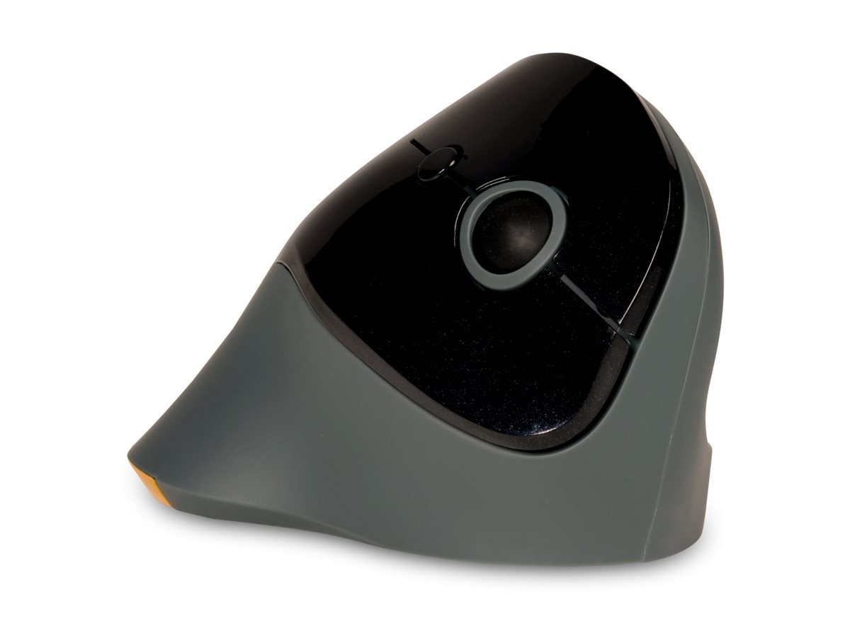 CCS Product Image (Left-angle/1200 x 900)