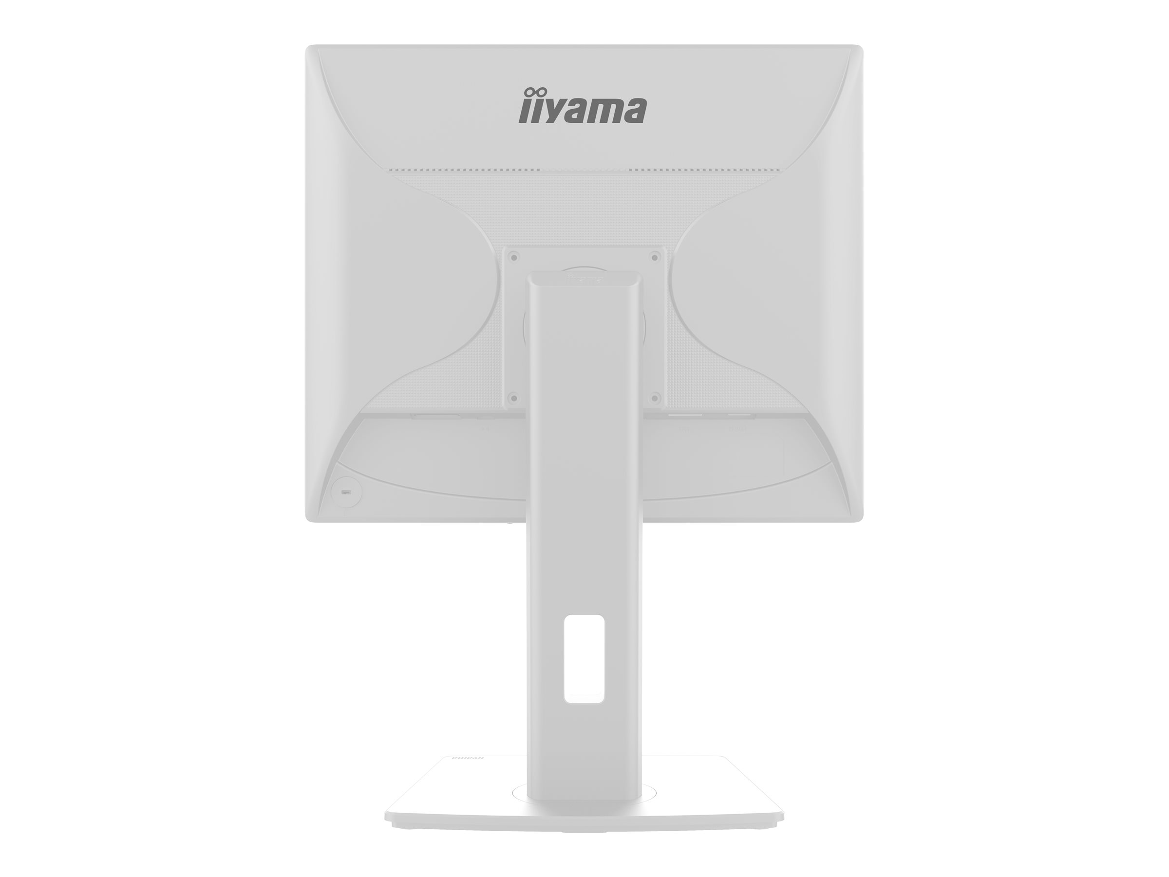 CCS Product Image (Back/2400 x 1800) CCS Product Image (Back/2400 x 1800)