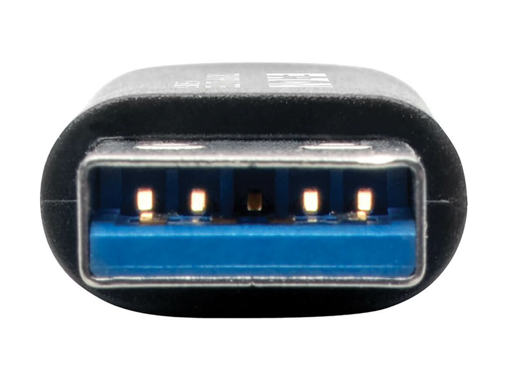 CCS Product Image (Back/1024 x 768)