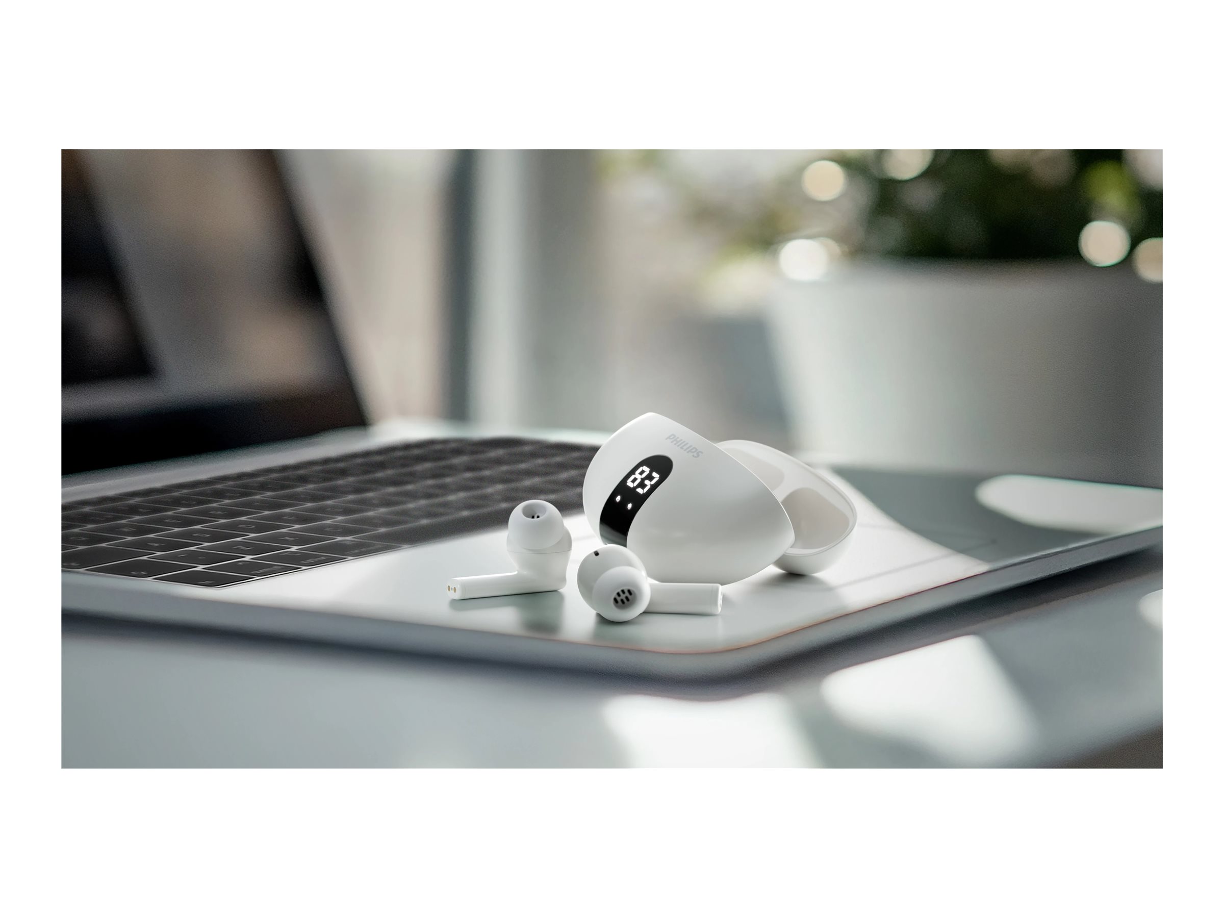 CCS Product Image (Front/2400 x 1800)