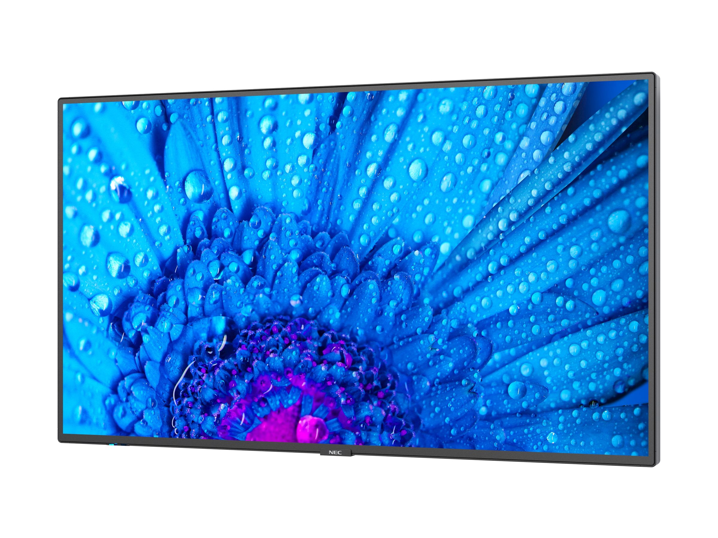 CCS Product Image (Right-angle/2400 x 1800)