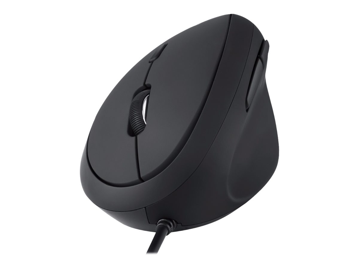 CCS Product Image (Left-angle/1200 x 900)