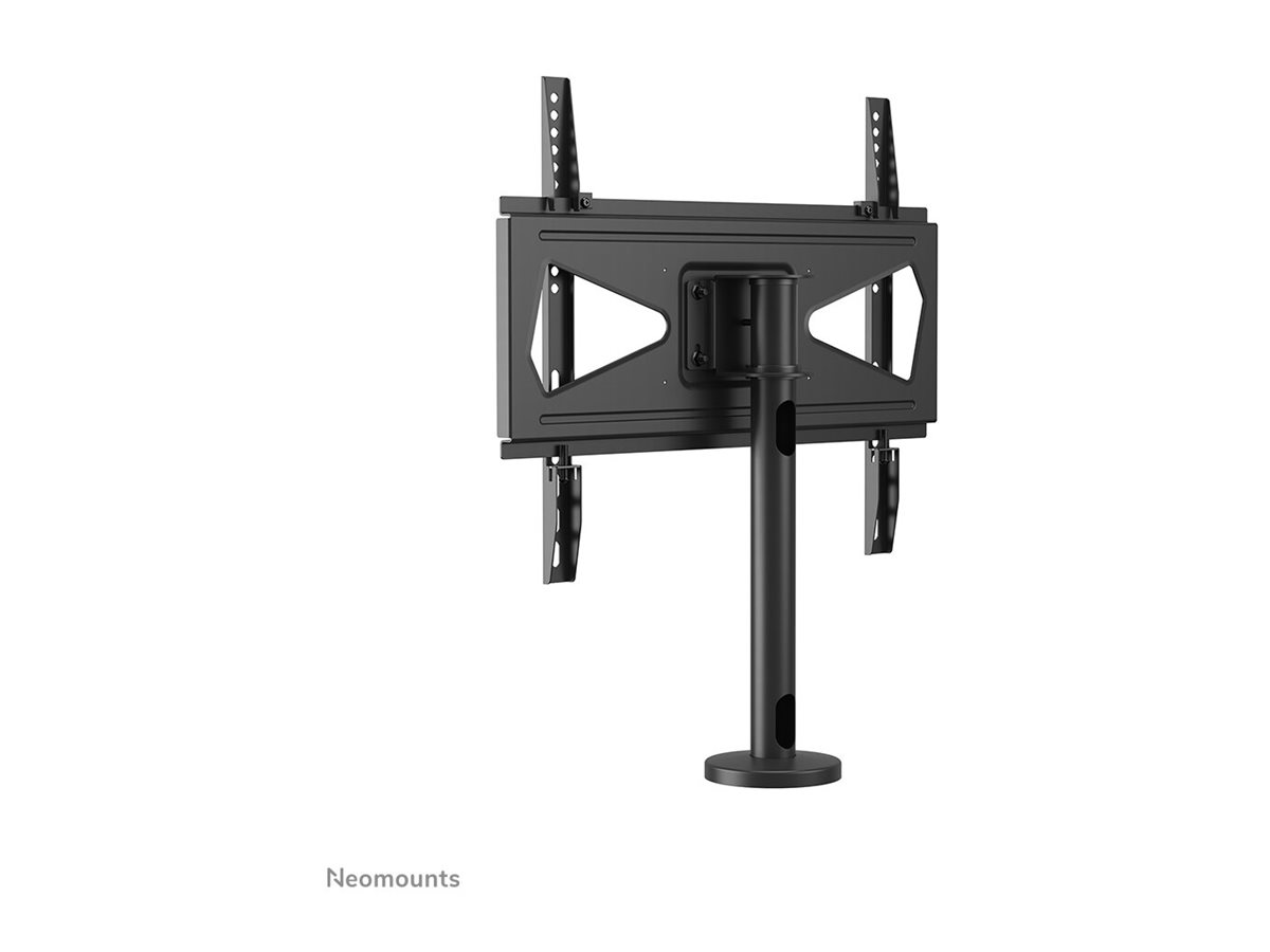 CCS Product Image (Back/1200 x 900)