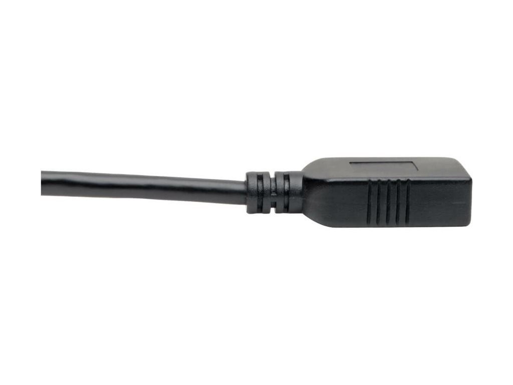 CCS Product Image (Close-up/1024 x 768)