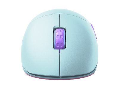 CCS Product Image (Back/400 x 300)