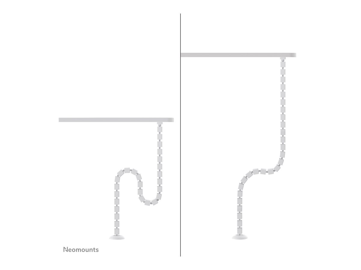 CCS Product Image (Left side/1200 x 900)