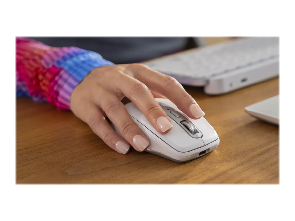 CCS Product Image (Back/1200 x 900)