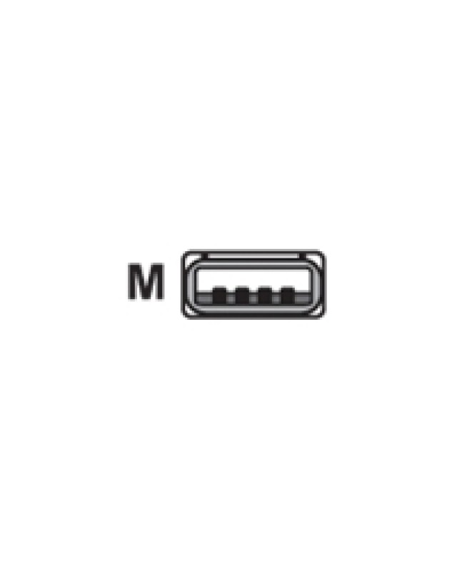 ITS - m113101-1.jpg ITS - m113101-1.jpg