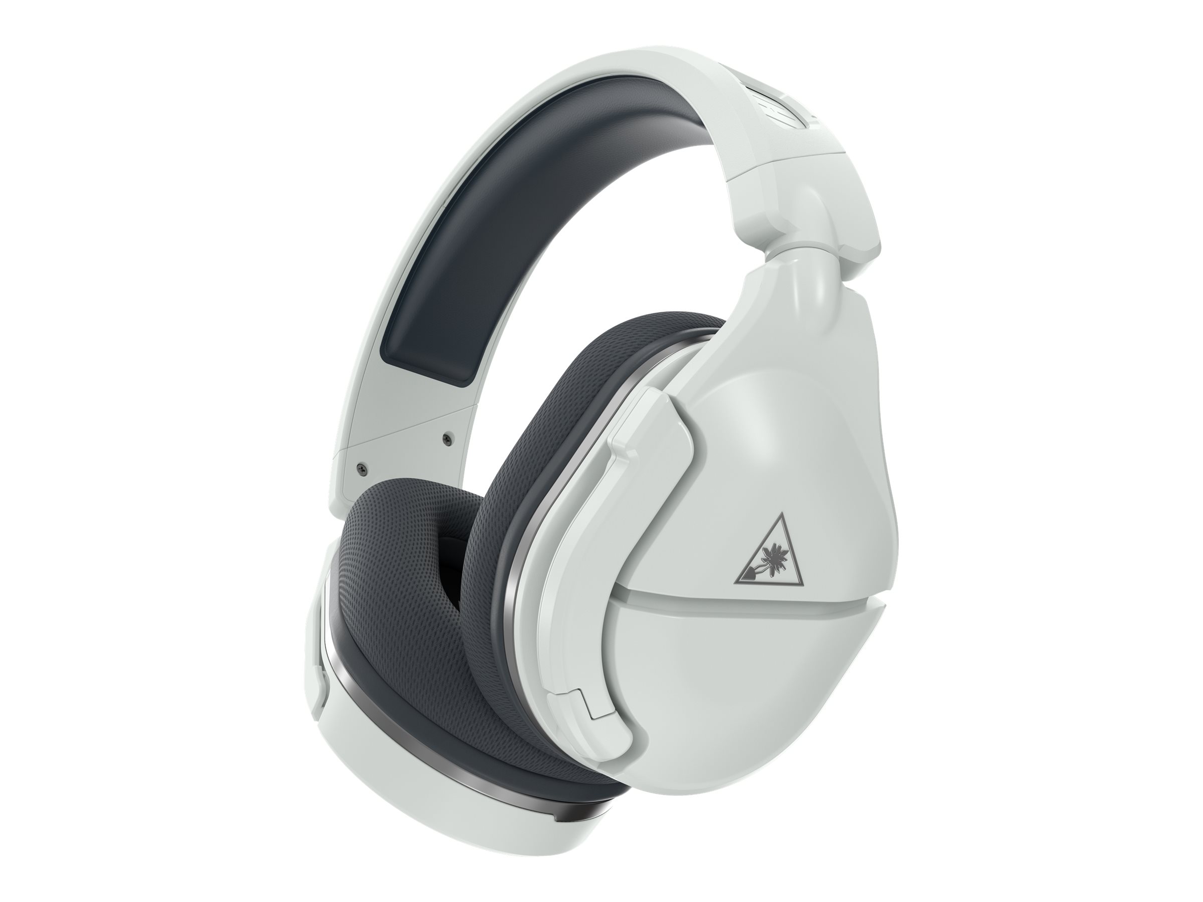 CCS Product Image (Right-angle/2400 x 1800)