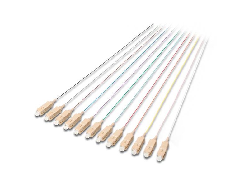 CCS Product Image (Right-angle/800 x 600)