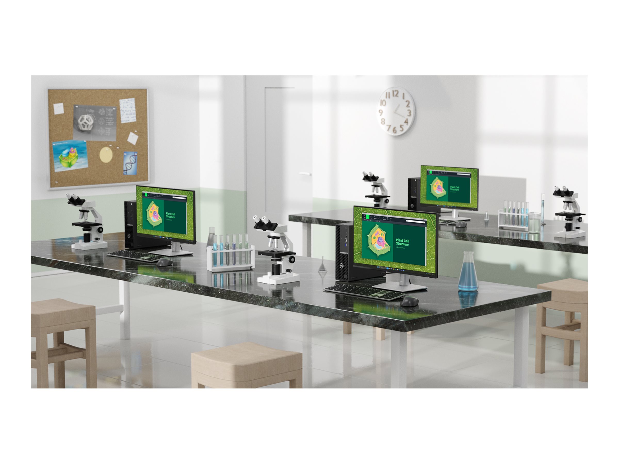 CCS Product Image (Multi-angle/2400 x 1800)