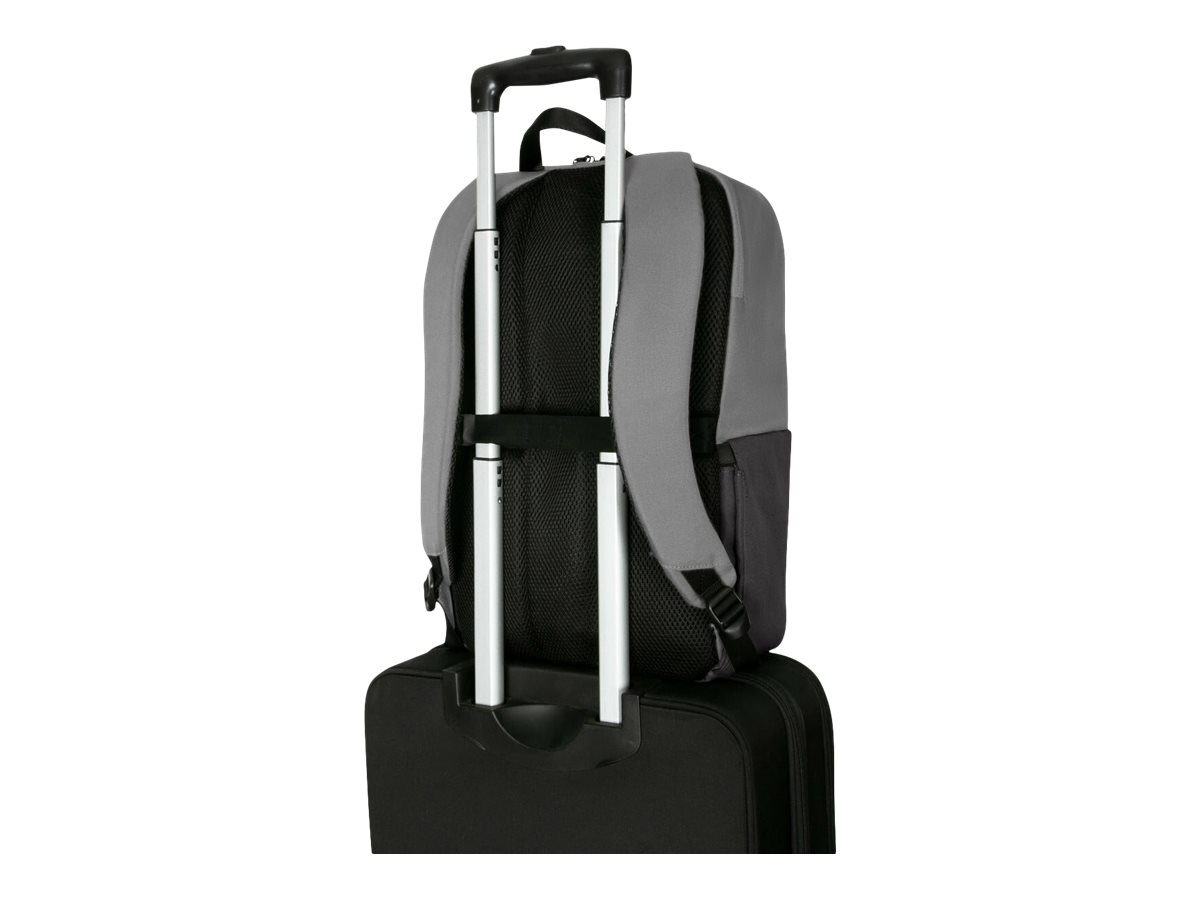 CCS Product Image (Back/1200 x 900)