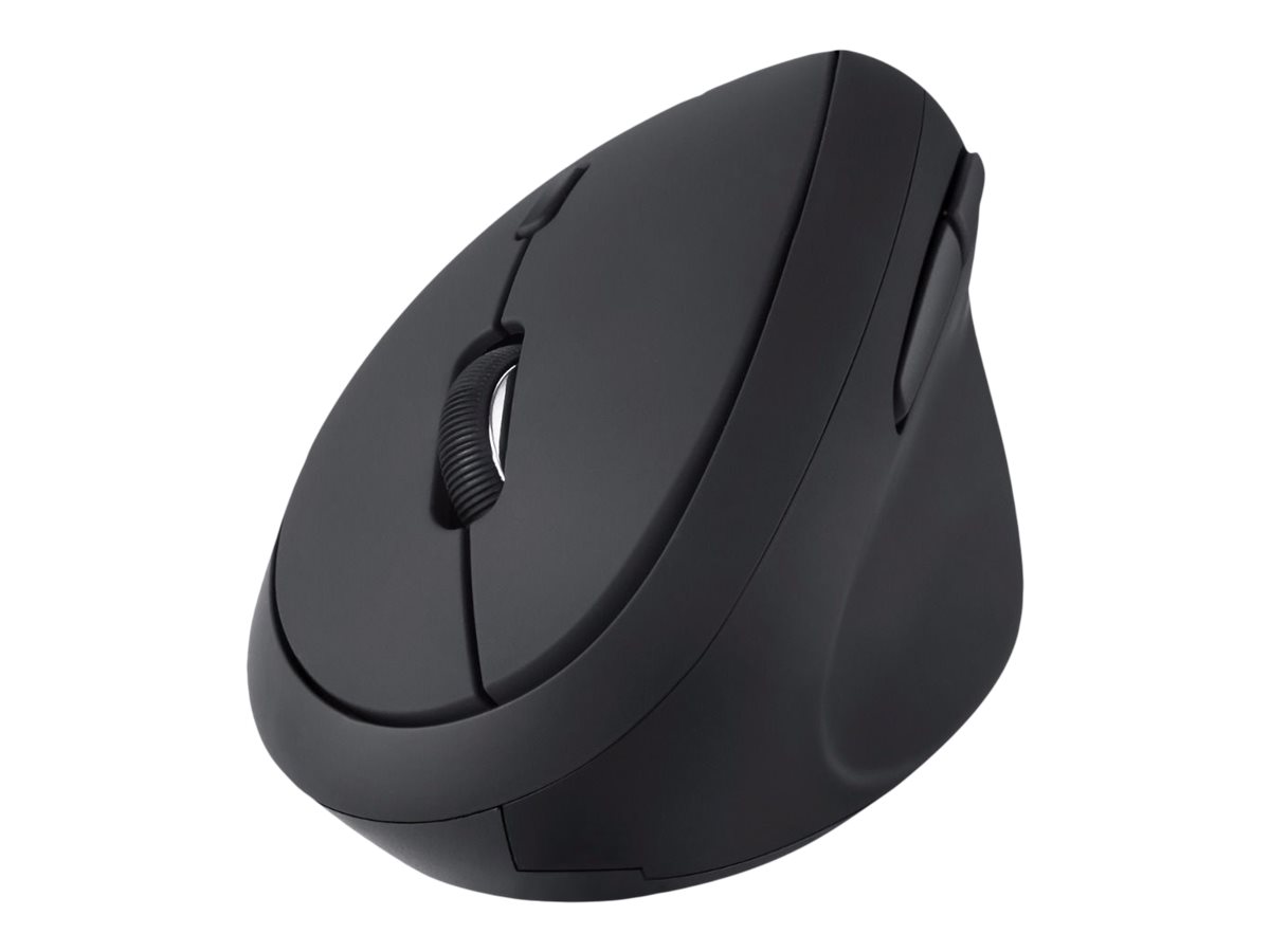 CCS Product Image (Back/1200 x 900)