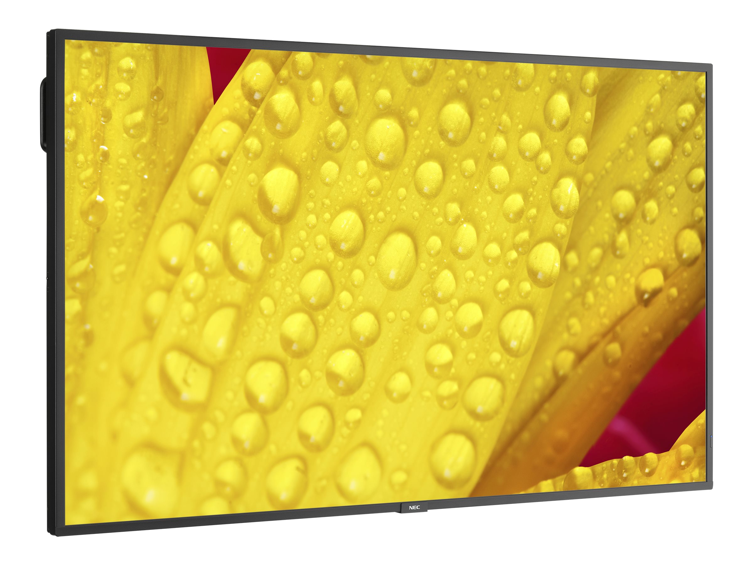 CCS Product Image (Left-angle/2400 x 1800)