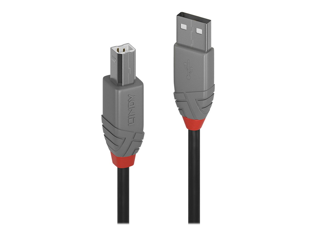 CCS Product Image (Close-up/1200 x 900)