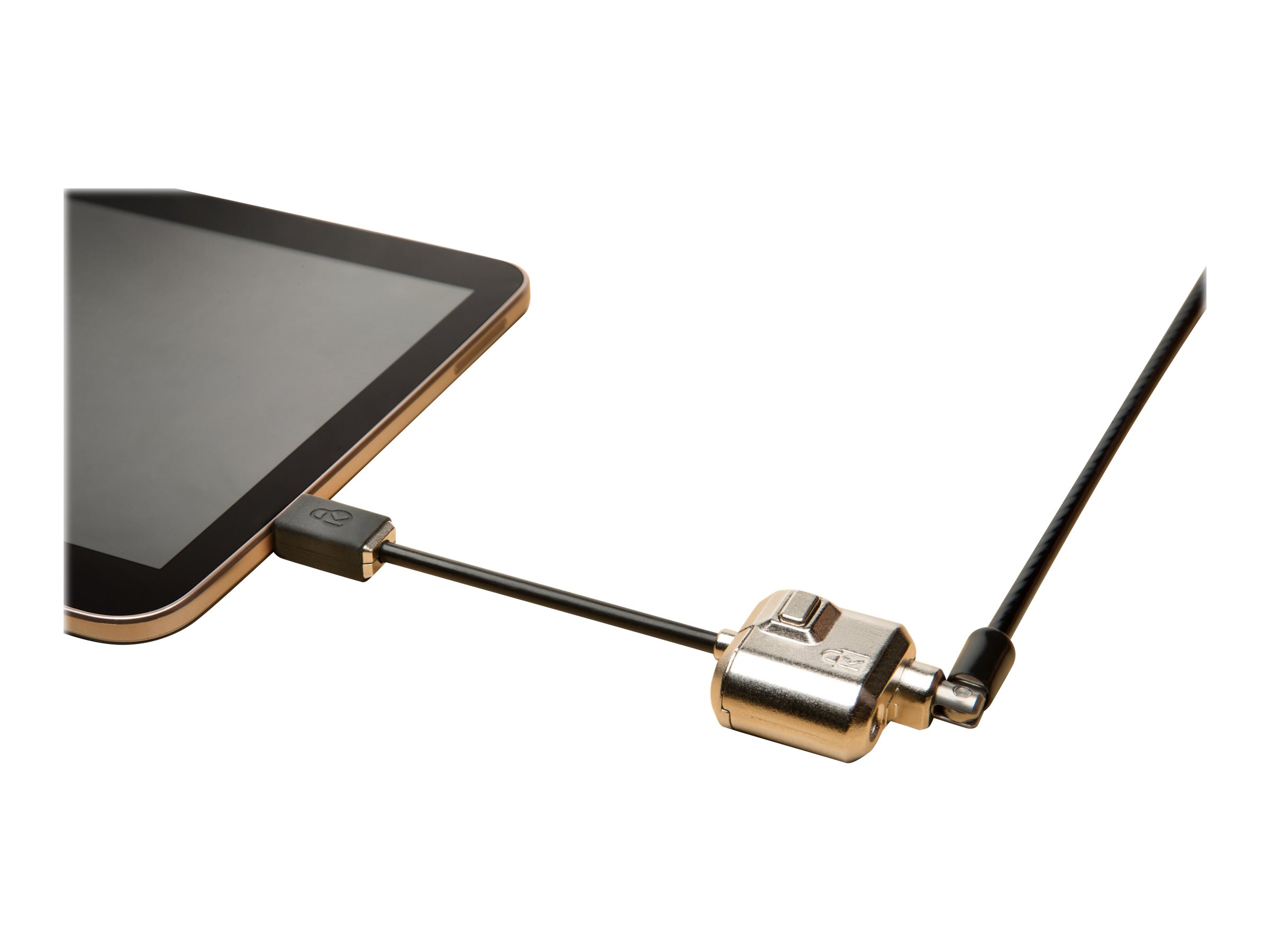 CCS Product Image (Back/2400 x 1800)