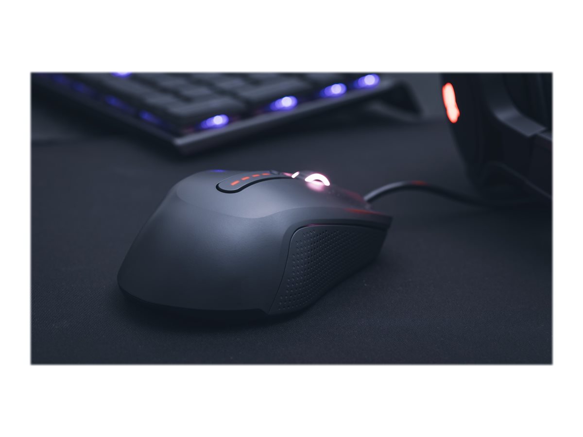 CCS Product Image (Back/1200 x 900)