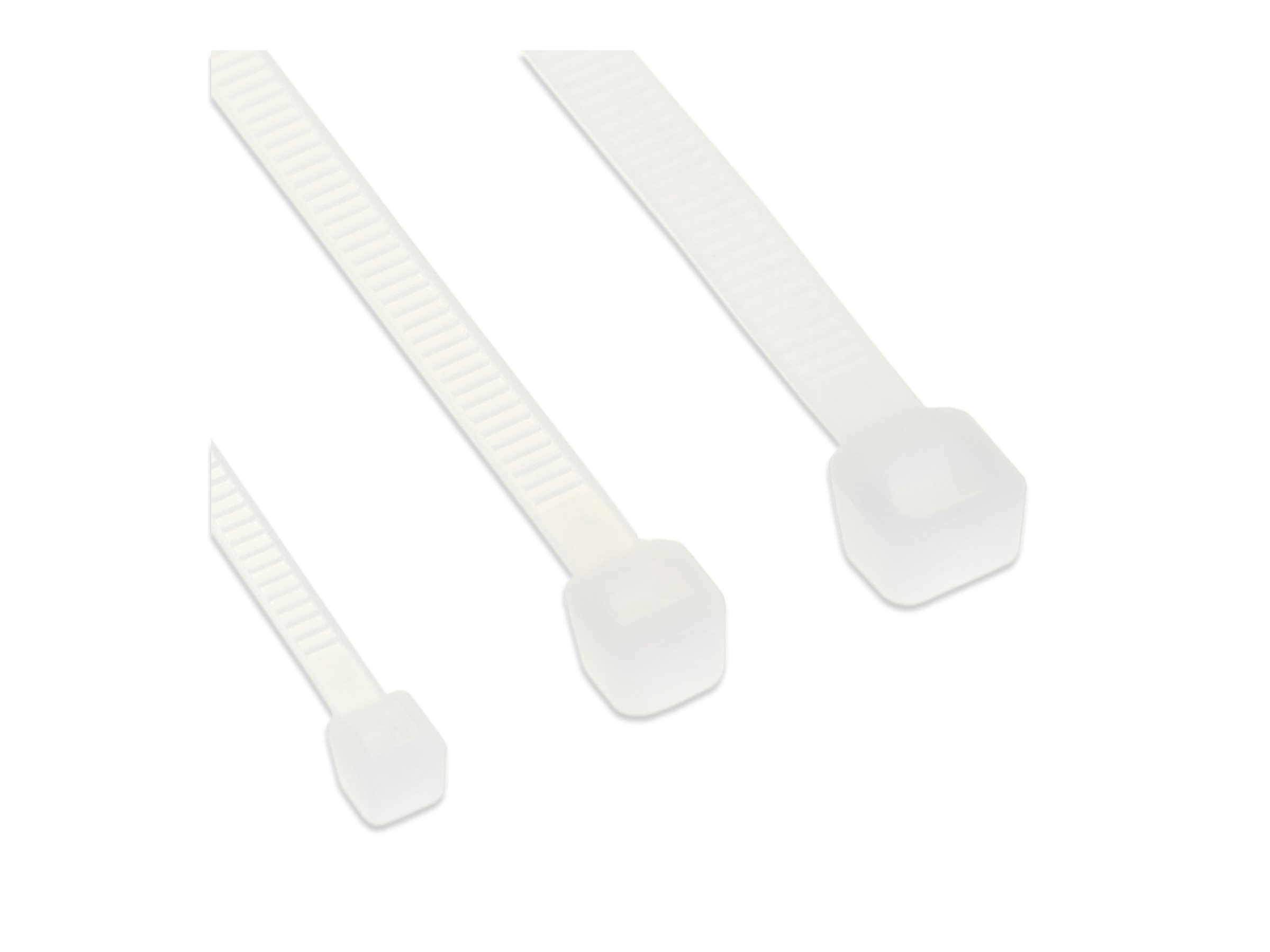 CCS Product Image (Left-angle/2400 x 1800)