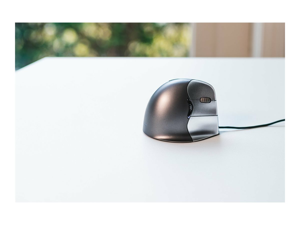 CCS Product Image (Left side/1200 x 900)