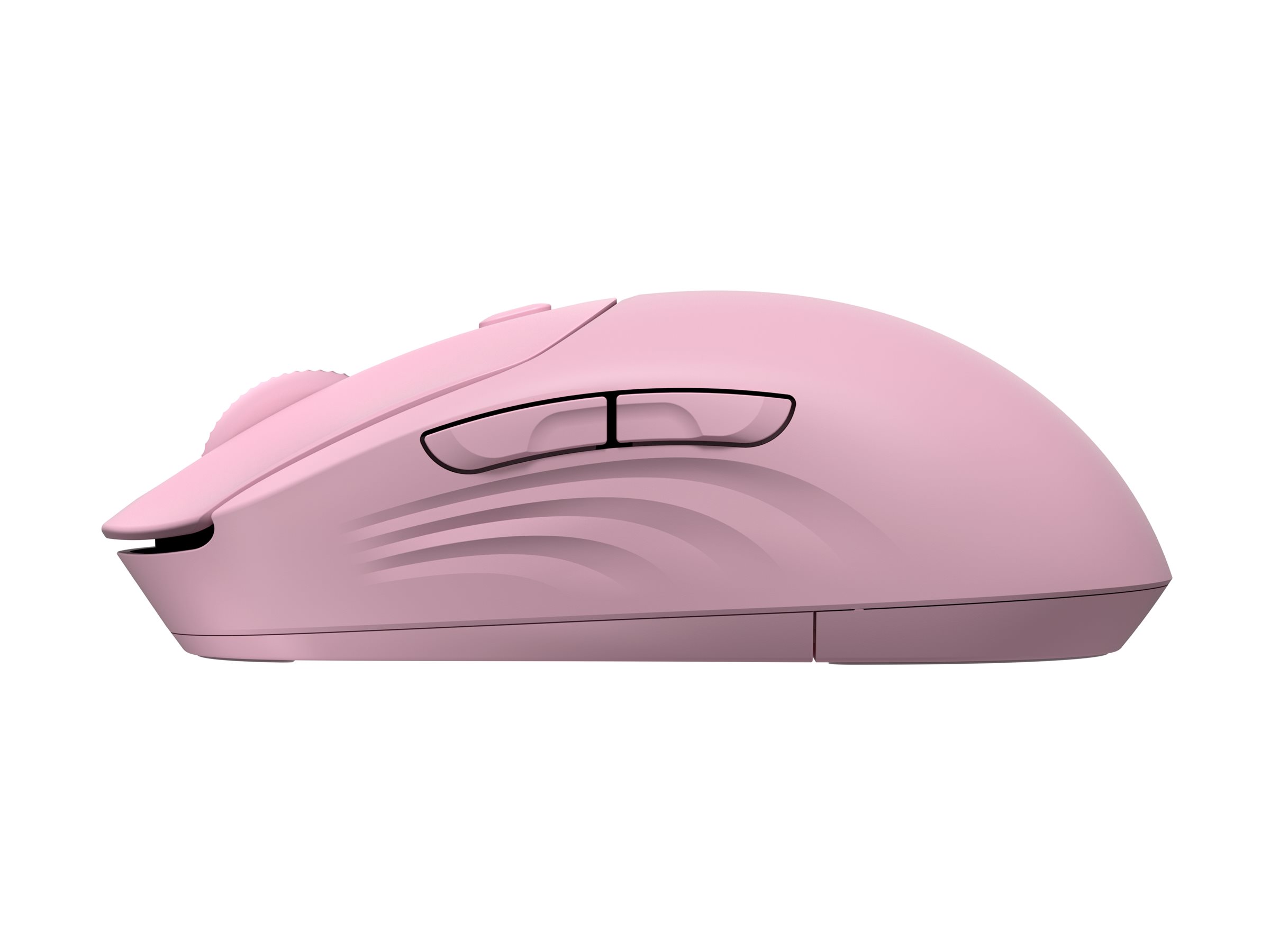 CCS Product Image (Right side/2400 x 1800)