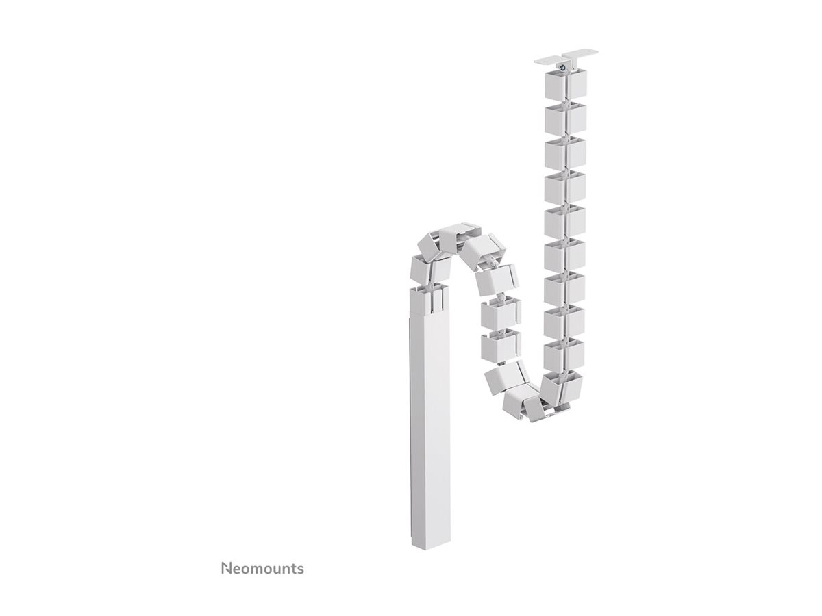 CCS Product Image (Back/1200 x 900)