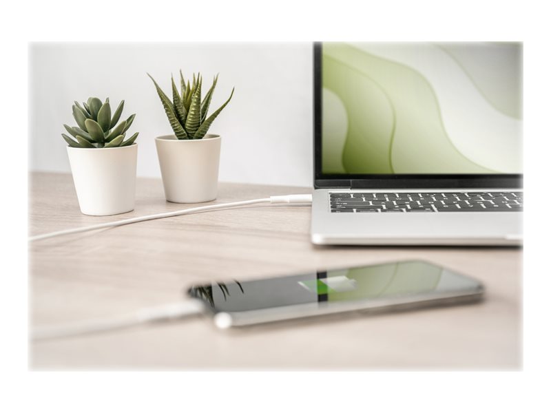 CCS Product Image (Close-up/800 x 600)