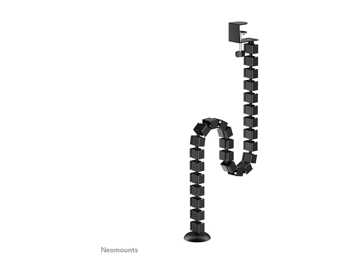 CCS Product Image (Back/1200 x 900)