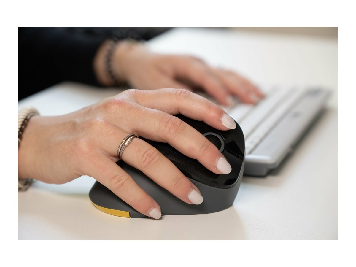 CCS Product Image (Left side/1200 x 900)