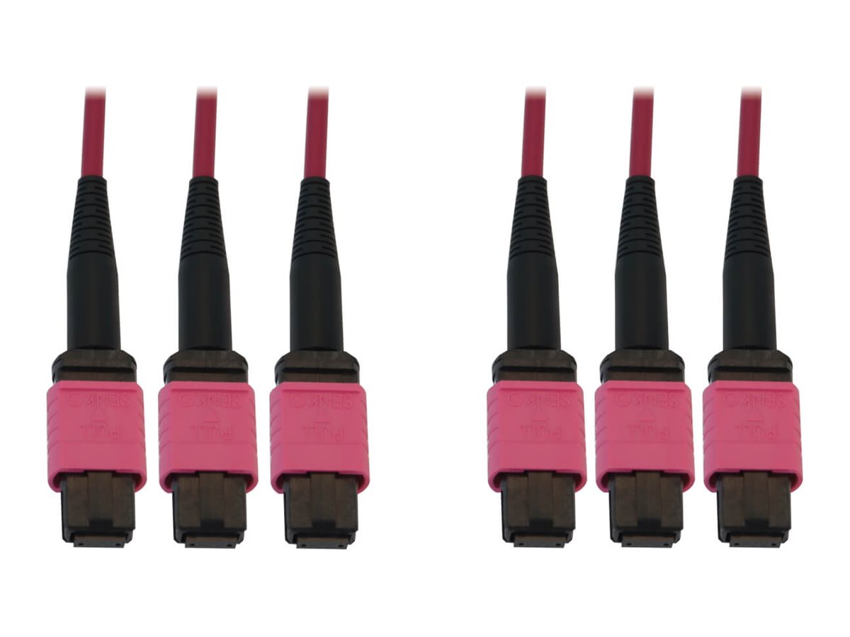 CCS Product Image (Front/1200 x 900)