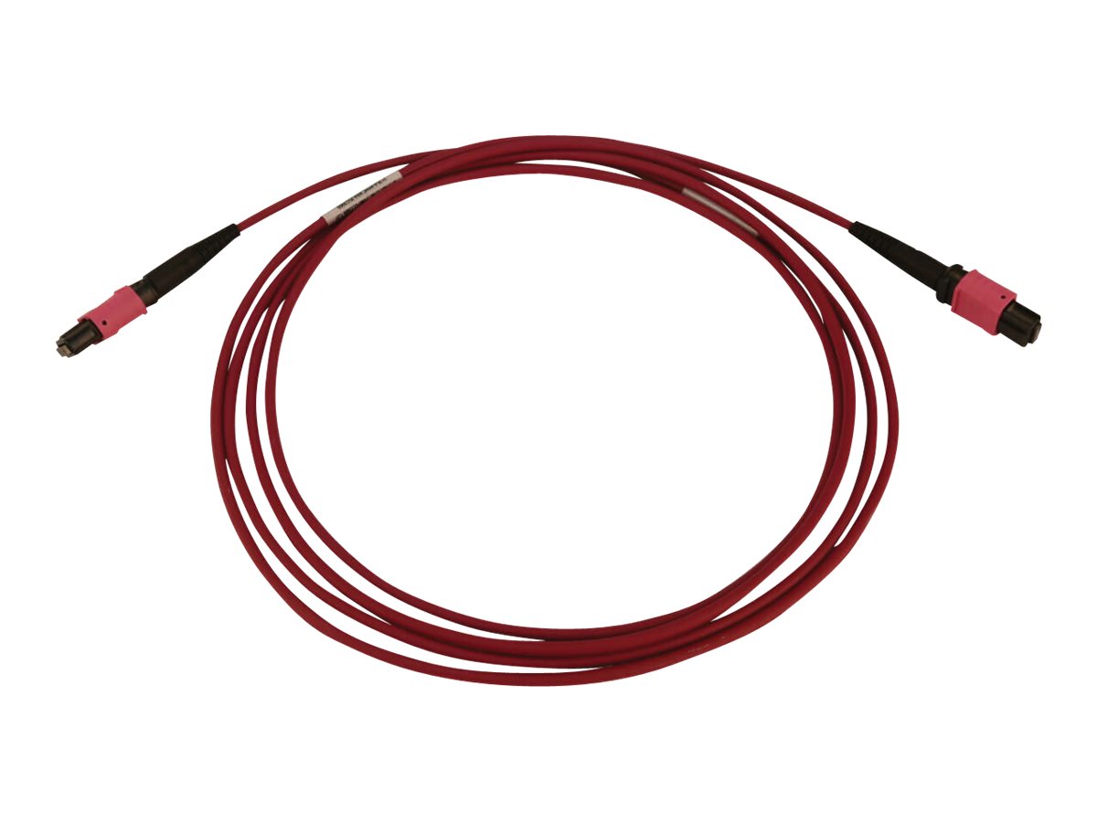 CCS Product Image (Front/1200 x 900)