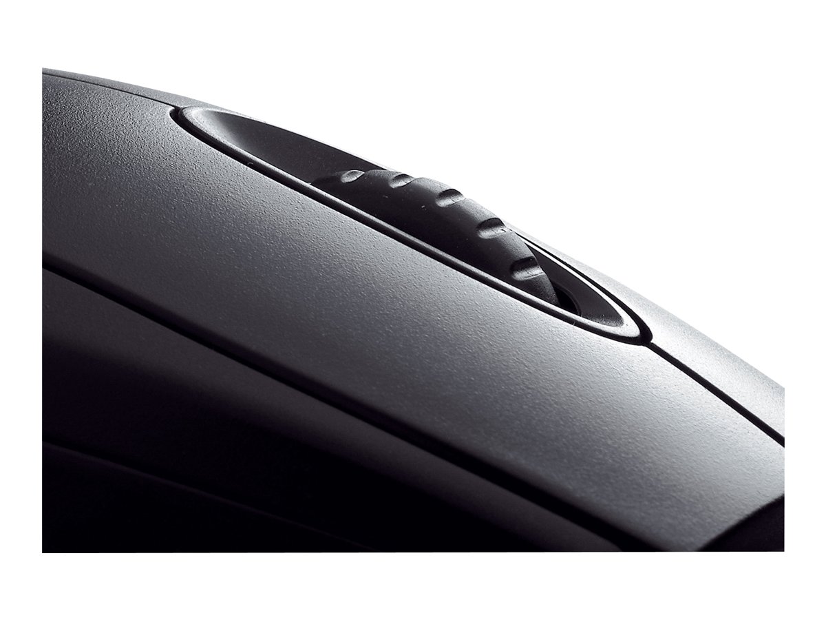 CCS Product Image (Close-up/1200 x 900)