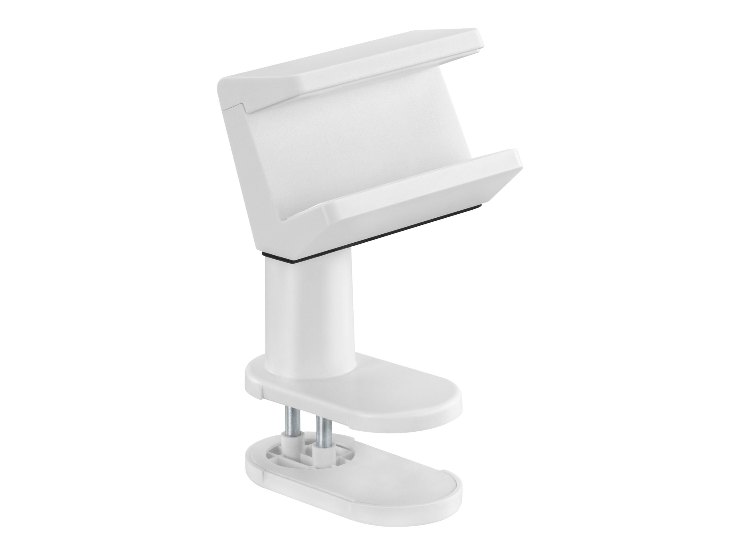 CCS Product Image (Left-angle/2400 x 1800)