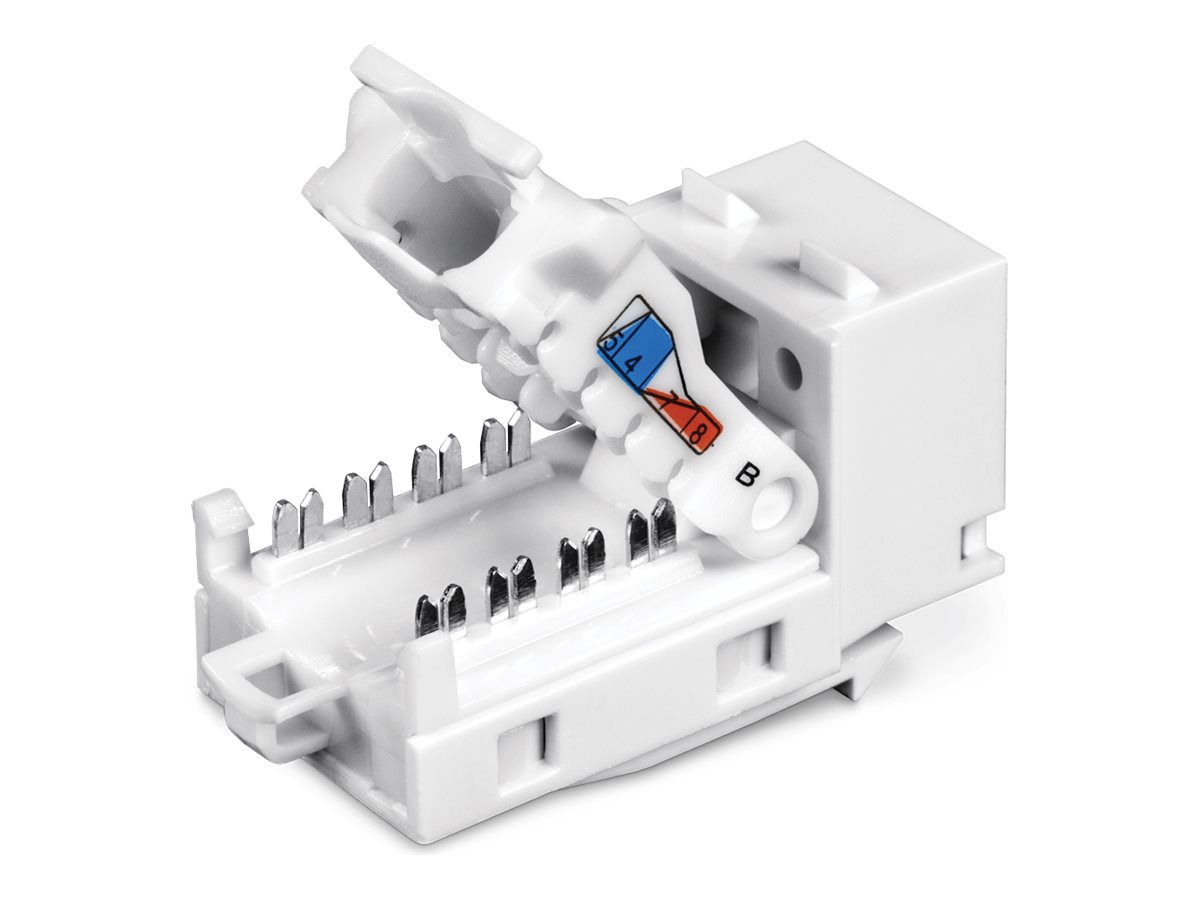 CCS Product Image (Back/1200 x 900)