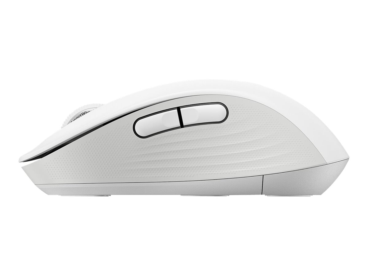 CCS Product Image (Right side/1200 x 900)