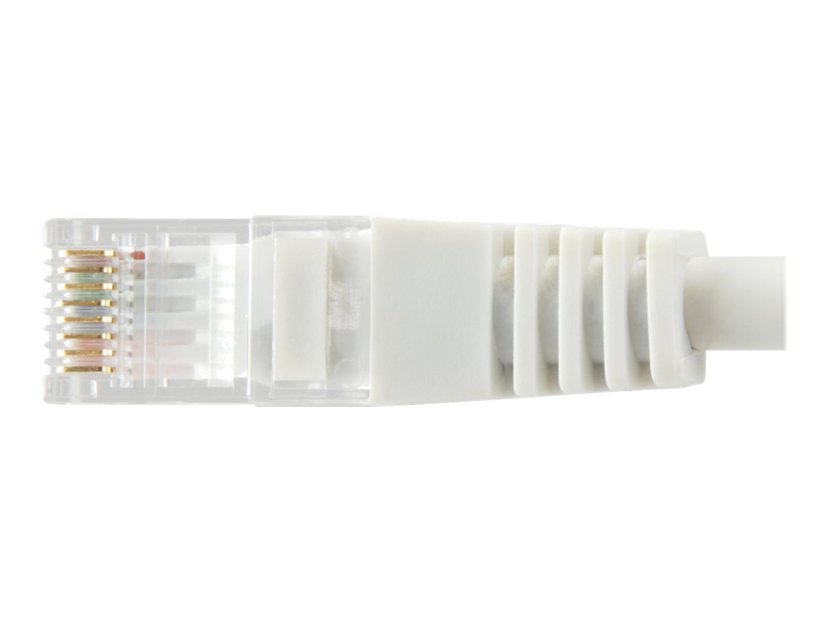 CCS Product Image (Bottom/1200 x 900)