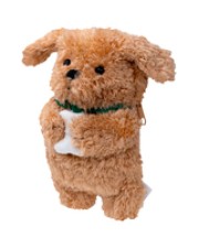 ITS - https://shopmanager.future-x.de/images/products/1/its-21307571.jpg