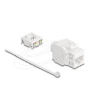 ITS - https://shopmanager.future-x.de/images/products/0/its-20970190.jpg