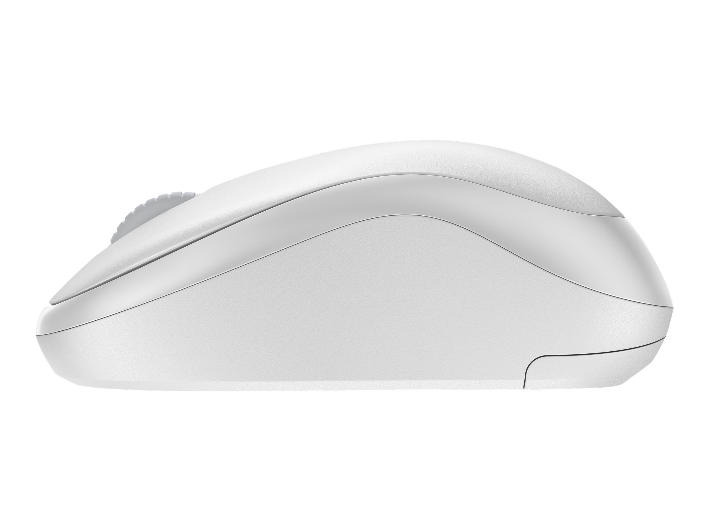 CCS Product Image (Left side/2400 x 1800)