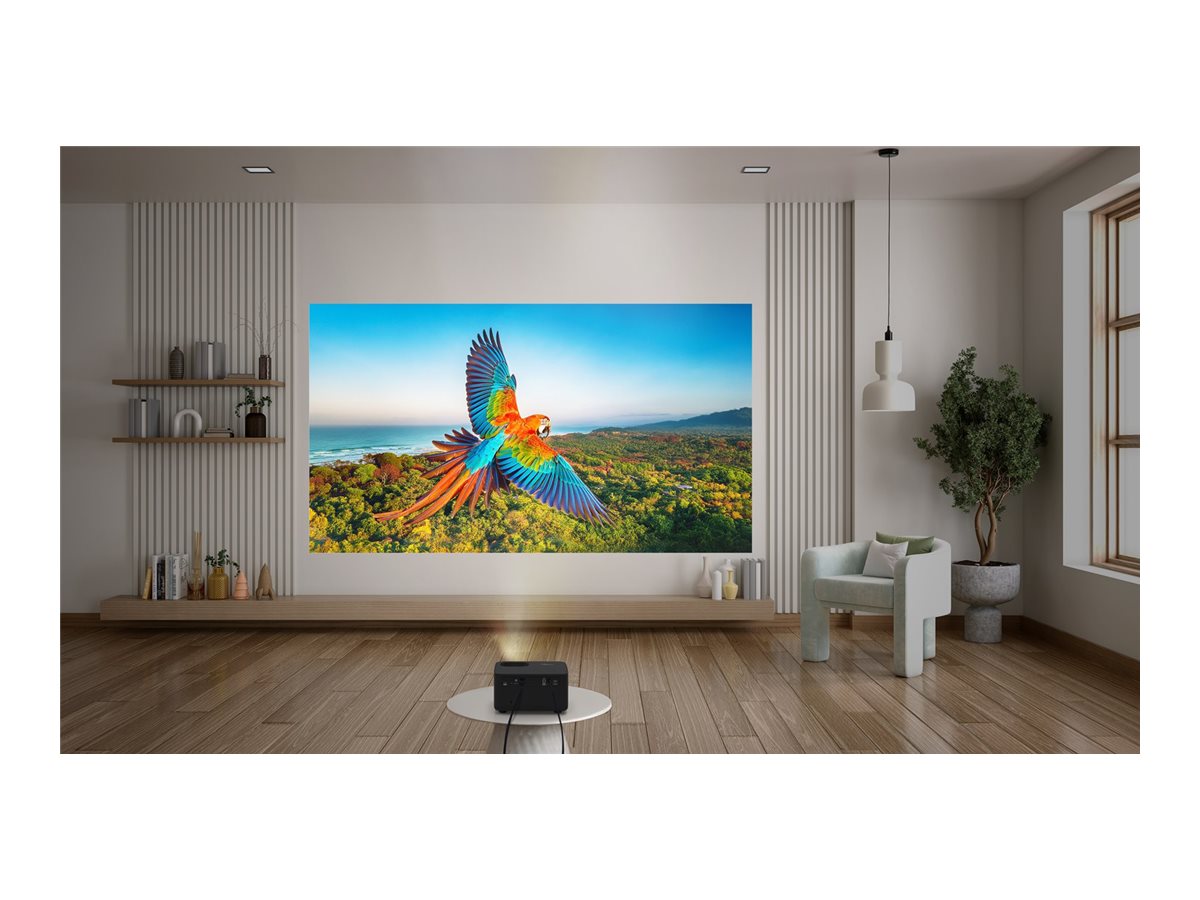 CCS Product Image (Back/1200 x 900)