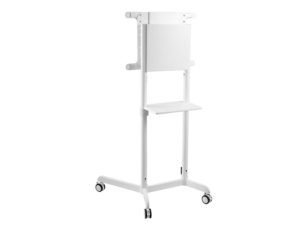 CCS Product Image (Back/1200 x 900)
