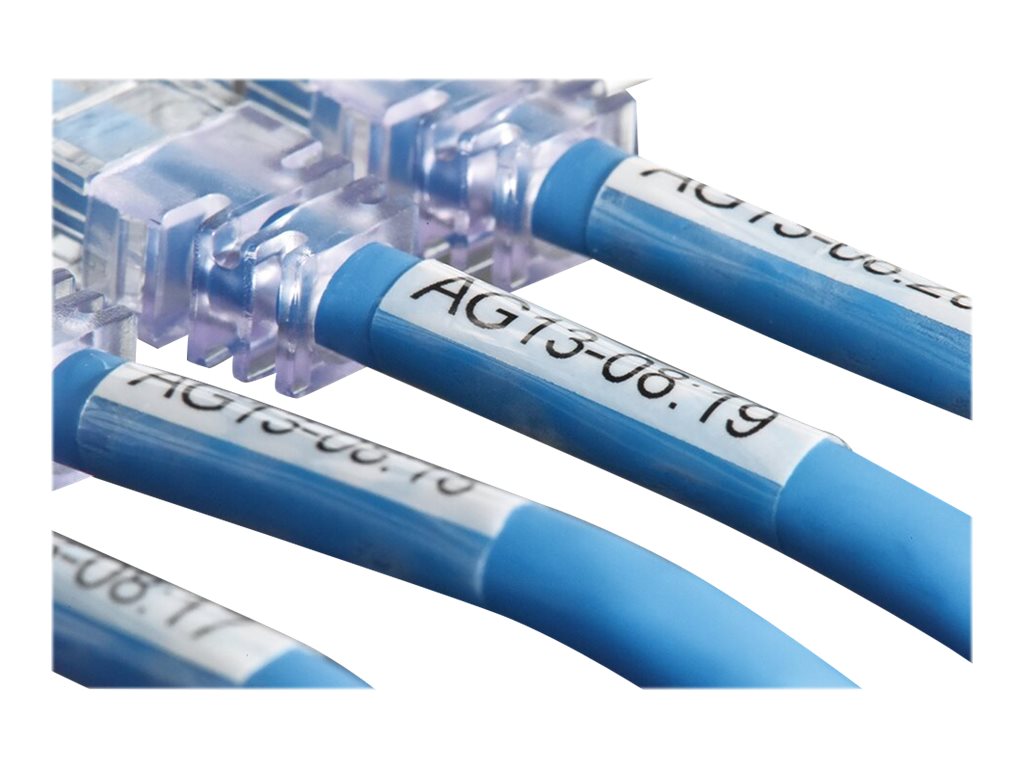 CCS Product Image (Right-angle/1024 x 768)