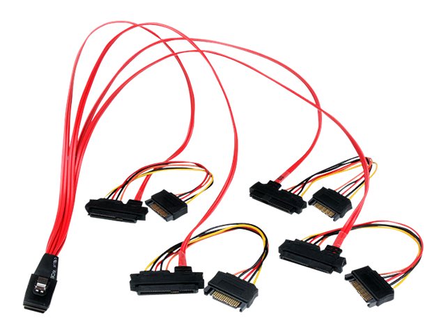 CCS Product Image (Right-angle/640 x 480)