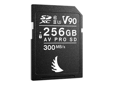 CCS Product Image (Left-angle/400 x 300)