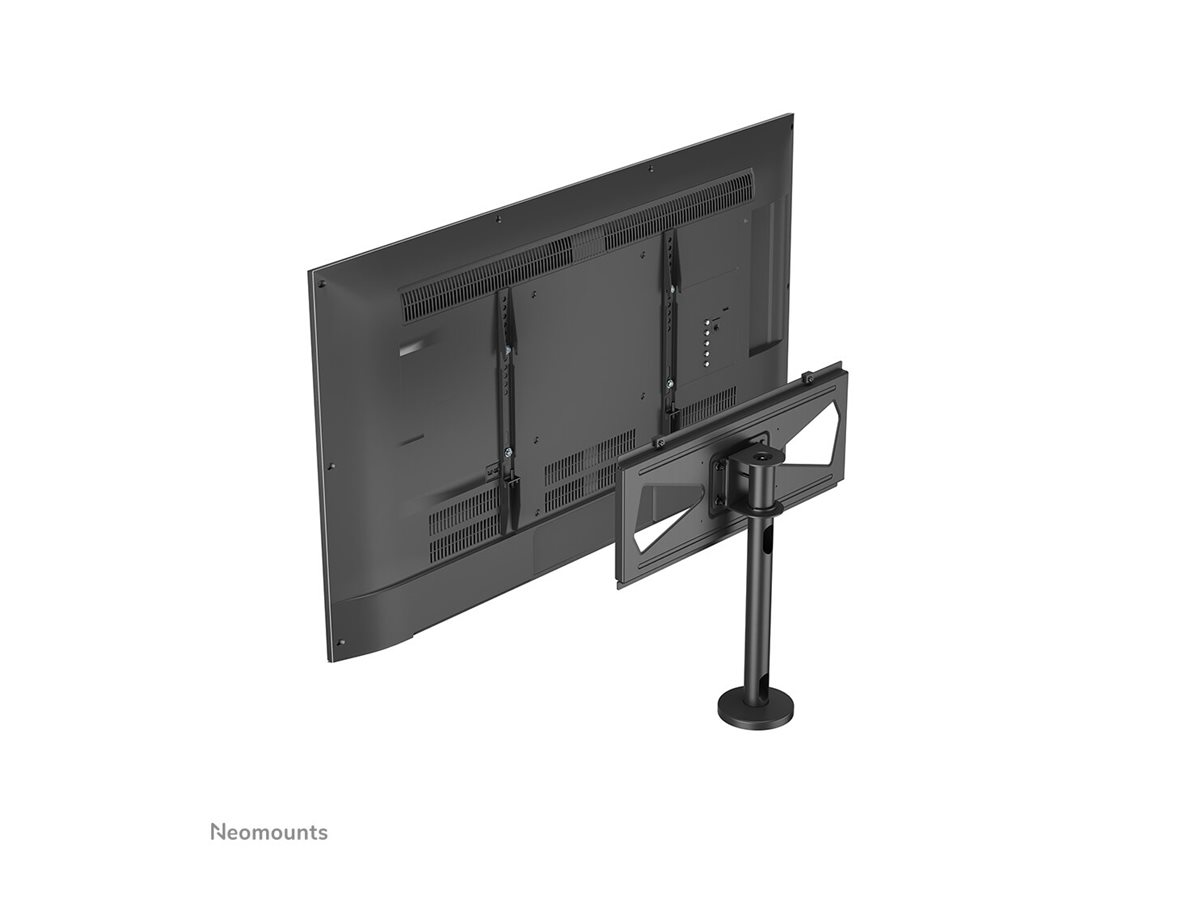 CCS Product Image (Back/1200 x 900)