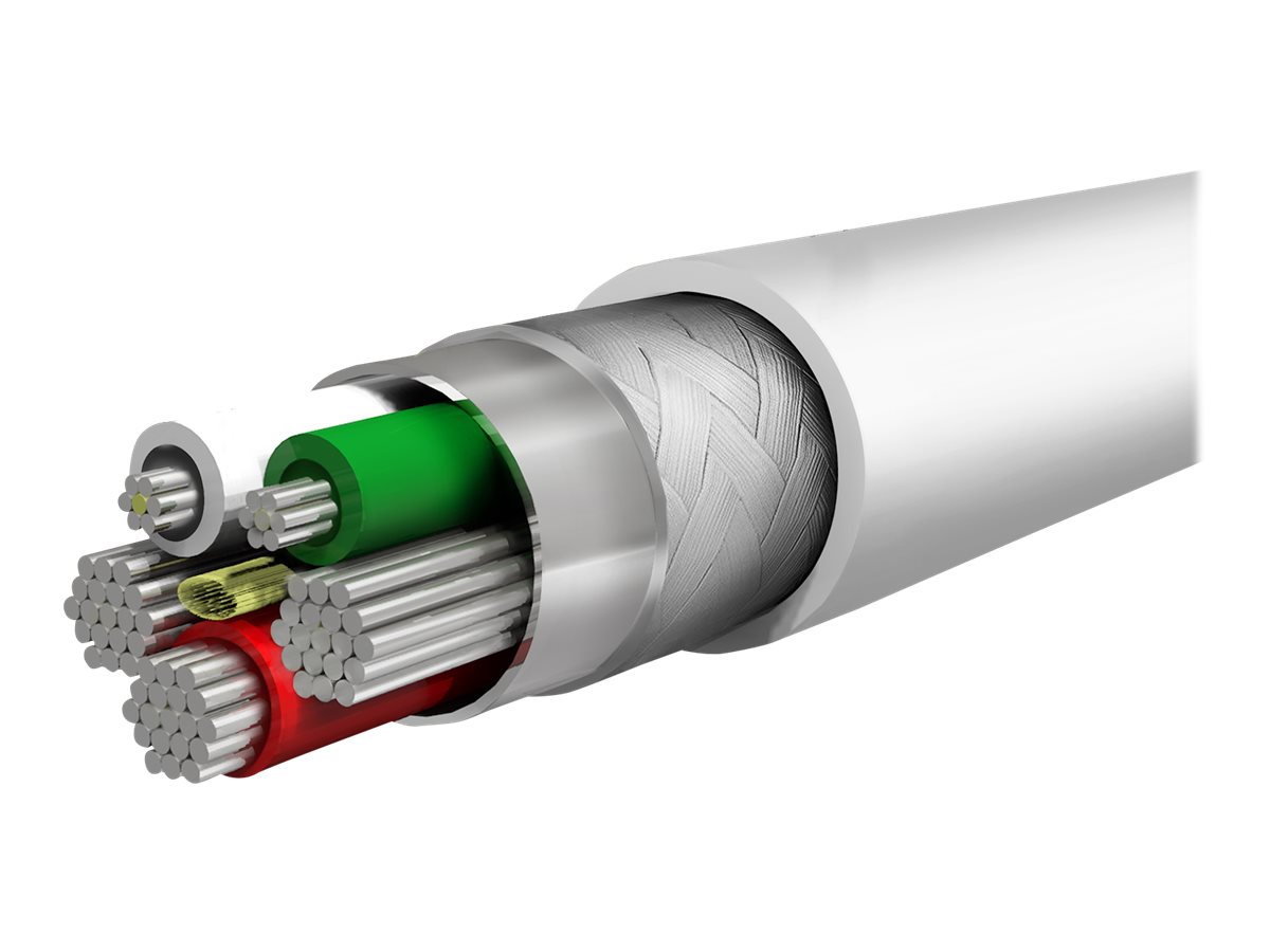 CCS Product Image (Inside/1200 x 900)