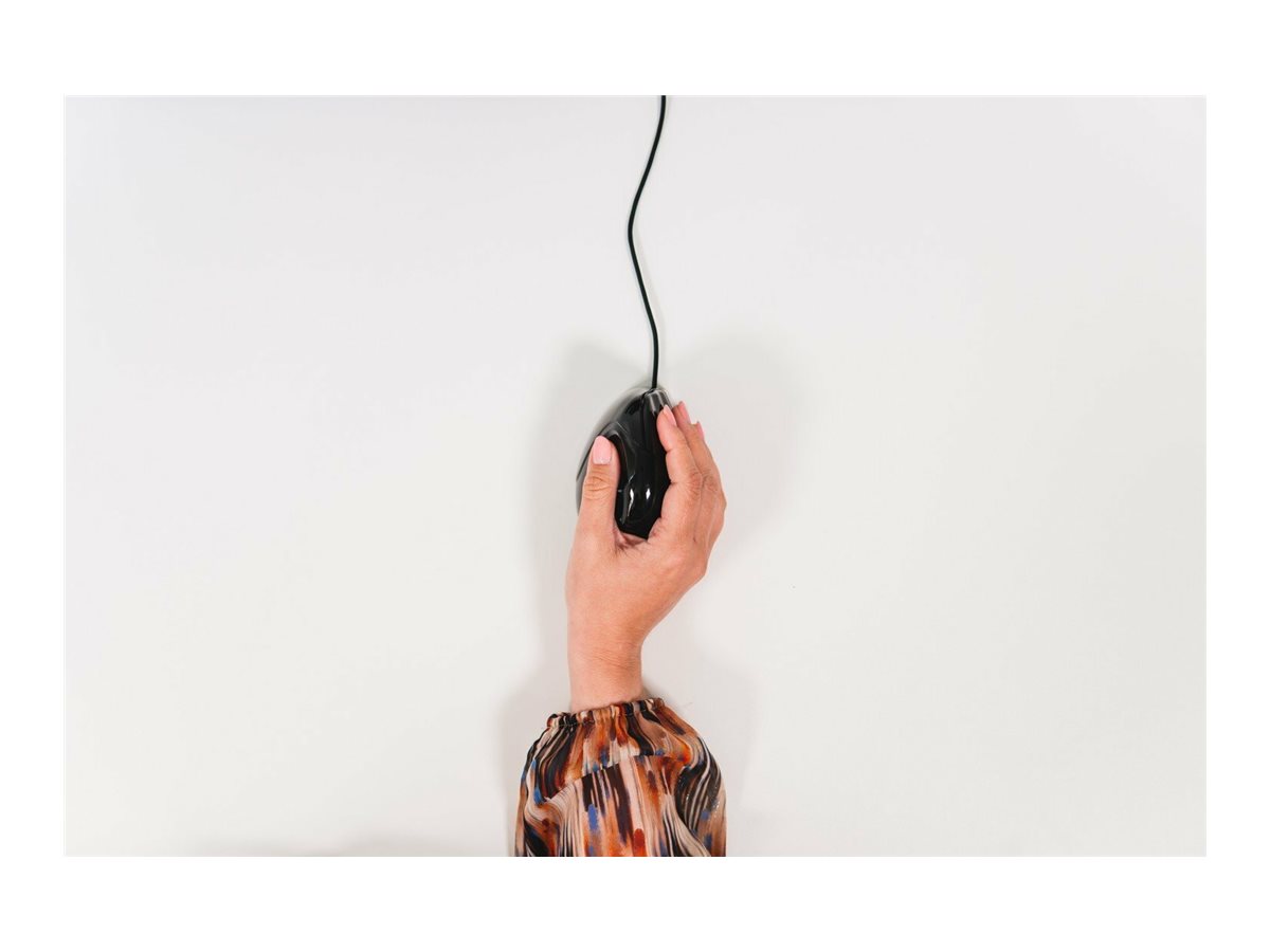 CCS Product Image (Front/1200 x 900)